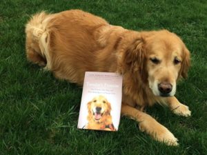 Servant Leadership Lessons From Tuesday