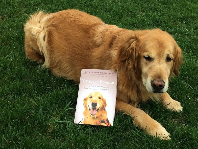 Servant Leadership Lessons From Tuesday