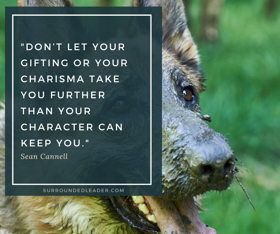 Character - Sean Cannel