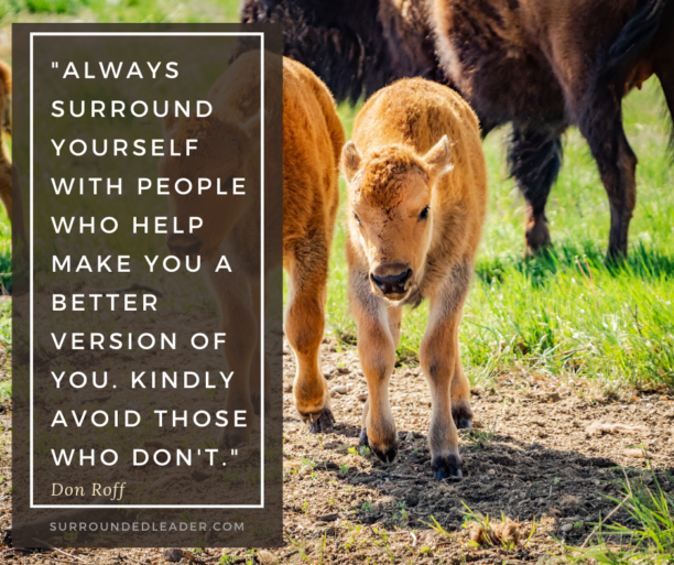 A Better Version of You - Don Roff